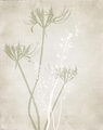 Image Not Available